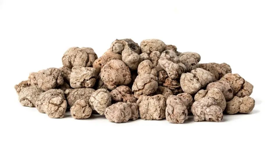 Budowa Domów Szadek - MyQu.be